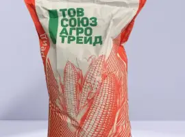 Насіння кукурудзи ДБ Хотин ФАО 280. ВІД ВИРОБНИКА. Дніпропетровська обл