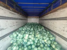 Зображення для оголошення Продам капусту структа