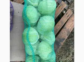Зображення для оголошення Капуста товарна
