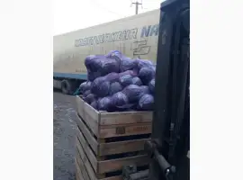 Зображення для оголошення Продам капусту красно кочаную от поставщика с 5 тонн