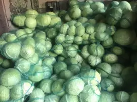 Зображення для оголошення Продам капусту на постоянной основе (ОПТ)