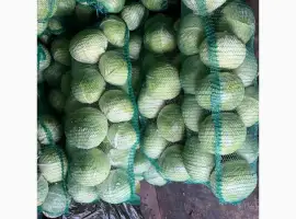 Зображення для оголошення Продам товарну капусту