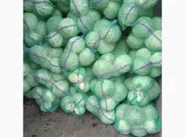 Зображення для оголошення Продам капусту сорт Агрессор від виробника
