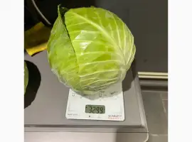 Зображення для оголошення Капуста сорт Рінда