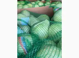 Зображення для оголошення Продам капусту Идеального качества с Ндс