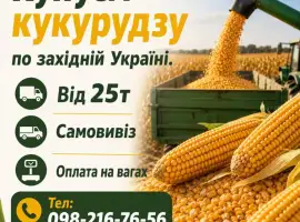 Куплю кукурудзу на постійній основі