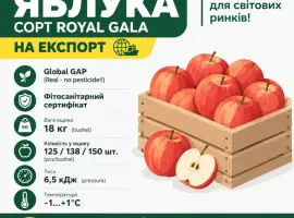 Зображення для оголошення Закуповуємо яблука Royal Gala на експорт (GlobalG.A.P.)