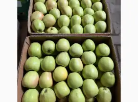 Зображення для оголошення Продам яблука Голден