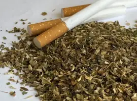 Зображення для оголошення Продам вкусную МАХОРКУ