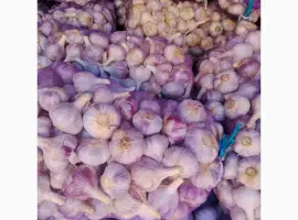 Зображення для оголошення Продам свій часник