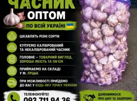 Зображення для оголошення Купуємо часник оптом по усій Україні