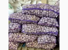 Продам часник від 1 тони