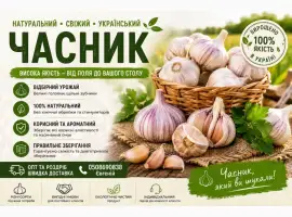 Зображення для оголошення Продаж часника