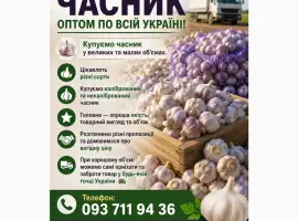 Зображення для оголошення Куплю часник будь які обʼєми по всій Україні