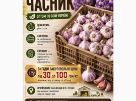 Зображення для оголошення Купуємо часник оптом по всій Україні