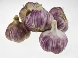 Зображення для оголошення Куплю чеснок забираем весь
