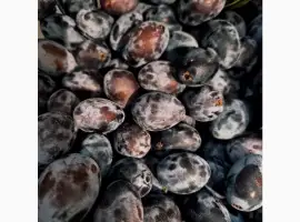 Зображення для оголошення Продам сливи медові прямо із саду!!! Сорт Угорка( можливий опт)