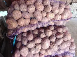 Продам картоплю