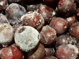 Зображення для оголошення Продам заморожена слива оптом від 5 тонн половинки для начинки і пюре Вінницька обл. Froze