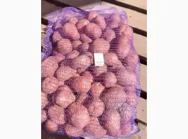 Зображення для оголошення Продам оптом картоплю
