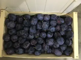 Зображення для оголошення Продам сливу Стенлей