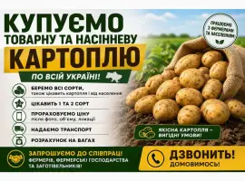 Купуєм товарну та насінневу картоплю по всій Україні