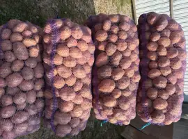Зображення для оголошення Продам картоплю