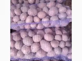 Зображення для оголошення Продам кортоплю
