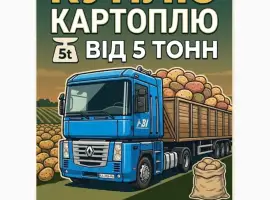 Зображення для оголошення Куплю картоплю