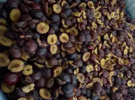 Зображення для оголошення Продам заморожену сливу половинка/ціла