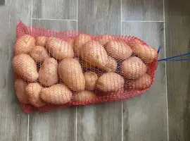 Зображення для оголошення Пропонуємо картопля мита або немита за домовленістю оптом від 5 тонн Київська обл