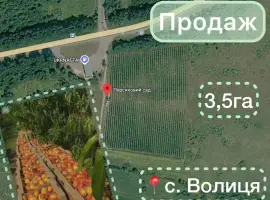 Зображення для оголошення Продаж готового агробізнесу біля кордону з Польщею | Персиковий сад 3