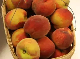 Зображення для оголошення Продам персик на переробку від 5 тонн соки пюре заморозка Одеська обл