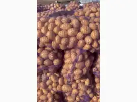Продам Картоплю Мікадо; Сорая