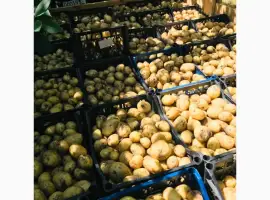 Зображення для оголошення Продам молоду картоплю з поля