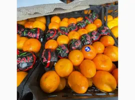 Зображення для оголошення Продам мандарин солодкий
