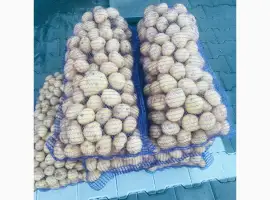 Зображення для оголошення Продаємо миту