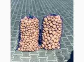 Зображення для оголошення Продам товарну і насіння картоплі рів’єра
