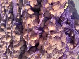 Продам картоплю