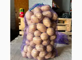 Зображення для оголошення Продам картоплю