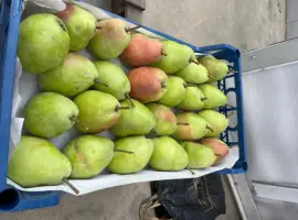 Зображення для оголошення Продам грушу
