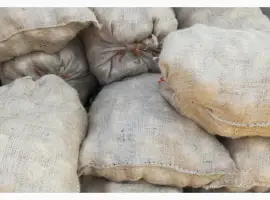 Картопля жовта продовольча Волинська обл опт сітки по домовленості