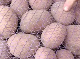 Куплю картоплю
