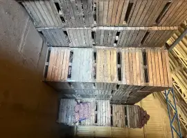 Продам картоплю посадкову Рівьєра і Коломбо