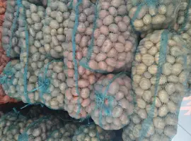 Зображення для оголошення Продам товару картоплю та посадкову.Сорт Санібель.Мирослава.Лідія