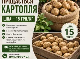Зображення для оголошення Продам картоплю