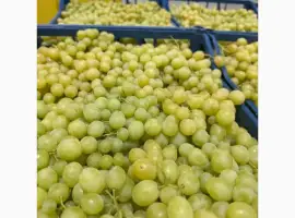 Зображення для оголошення Кишмиш віноград