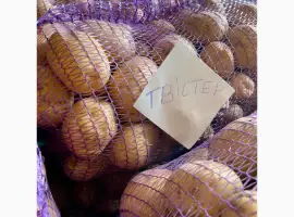 Картопля їстівна