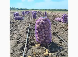 Продам картоплю