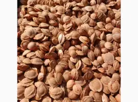 Зображення для оголошення Продам кісточку абрикоса